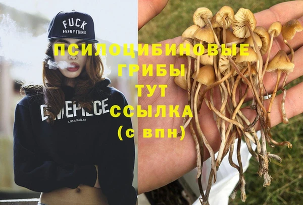 гидра Алексеевка