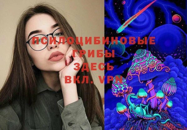 стафф Алексин