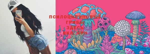 стафф Алексин