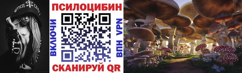 Псилоцибиновые грибы прущие грибы Сысерть