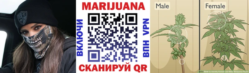 Канабис тримм  МЕГА вход  Сысерть 